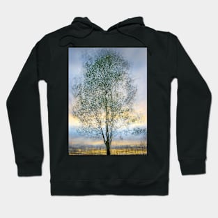 Abstract Multiple Exposure Tree at Sunset Hoodie